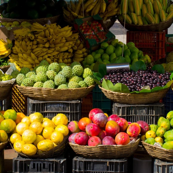 Frutas Linda