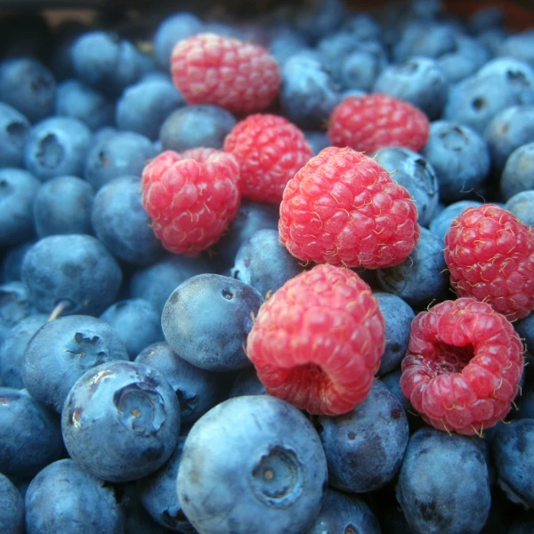 Frutas Linda