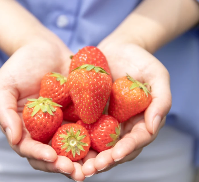 ¿Por qué elegir Frutas Linda?